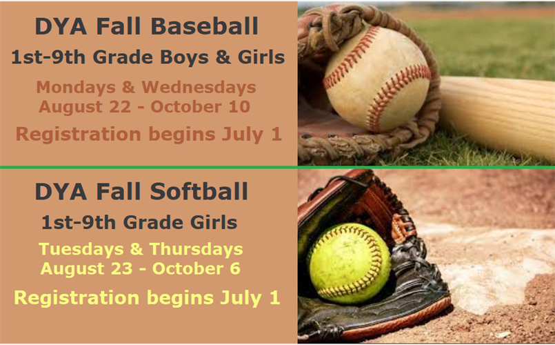 DYA Fall Baseball & Softball - Register July 1-31
