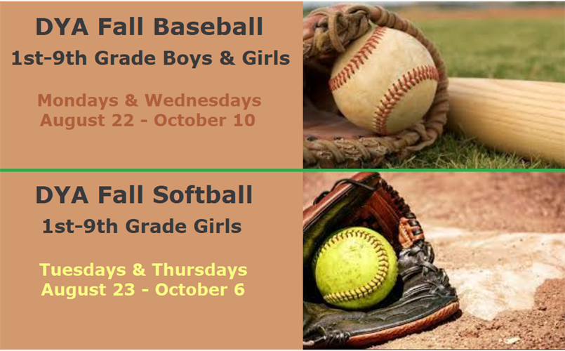 DYA Fall Baseball & Softball - Registration is OPEN!